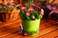 Praktické záhradné rady, ktoré  spríjemnia príchod jari