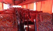 DAFA trans