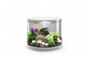 Dizajnové akváriá biOrb