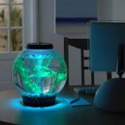 Dizajnové akváriá biOrb