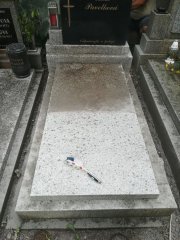 Renovácia a čistenie