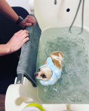 Ozonoterapia v Bratislave