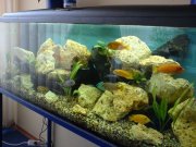 interíerové akvárium