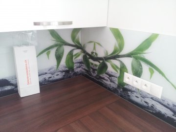 Sklenenázástena - recenzie, referencie, skúsenosti