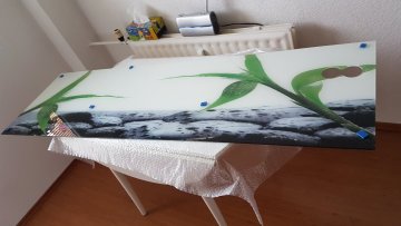 Sklenenázástena - recenzie, referencie, skúsenosti