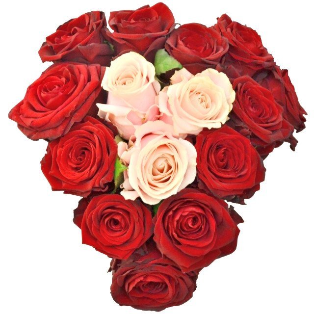 Kvety a Kytice - recenzie, referencie, skúsenosti