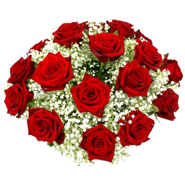 Kvety a Kytice - recenzie, referencie, skúsenosti