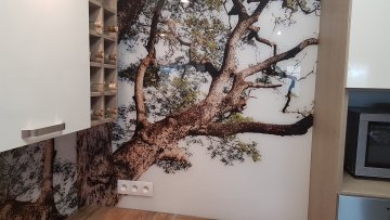 Sklenenázástena - recenzie, referencie, skúsenosti