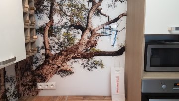 Sklenenázástena - recenzie, referencie, skúsenosti