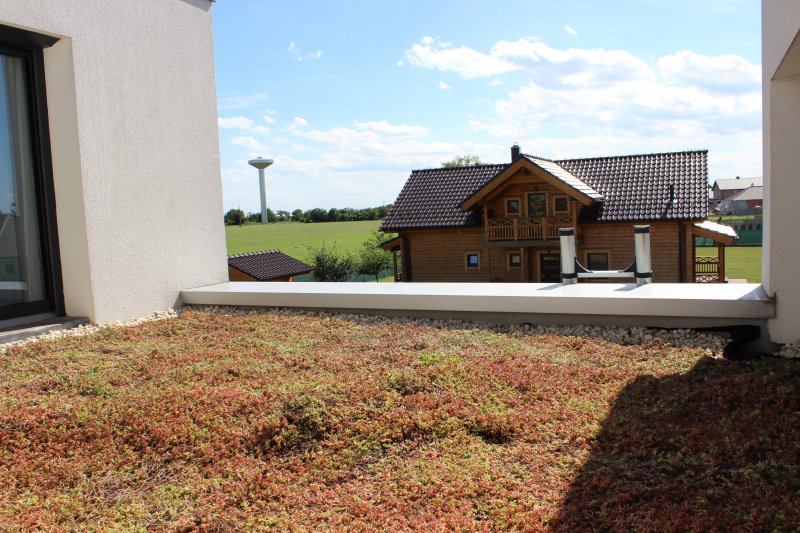 Zelená strecha - SkyGardens - recenzie, referencie, skúsenosti