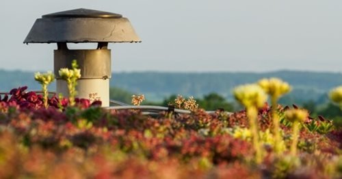 Zelená strecha - SkyGardens - recenzie, referencie, skúsenosti