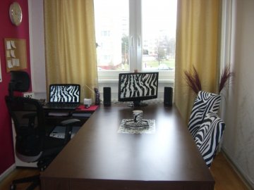 doučovanie angličtiny