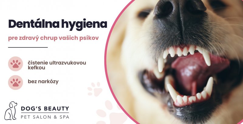 Dogsbeauty.sk - recenzie, referencie, skúsenosti