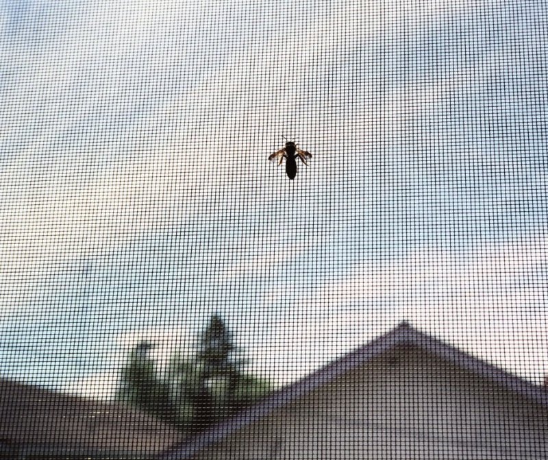 AMG STUDIO - recenzie, referencie, skúsenosti