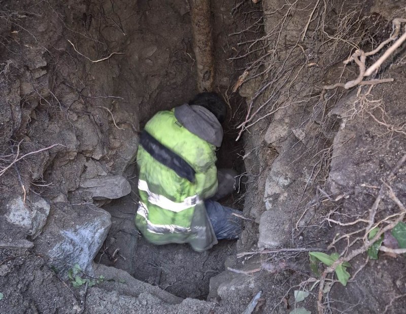 DMP servis - recenzie, referencie, skúsenosti