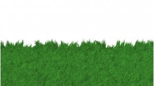 "..trávnik - aby nám ho susedia závideli"