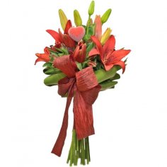  - recenzie, referencie, skúsenosti