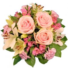  - recenzie, referencie, skúsenosti