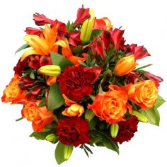  - recenzie, referencie, skúsenosti