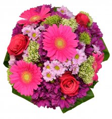  - recenzie, referencie, skúsenosti