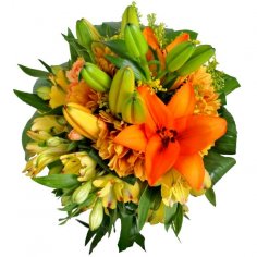  - recenzie, referencie, skúsenosti