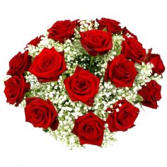  - recenzie, referencie, skúsenosti