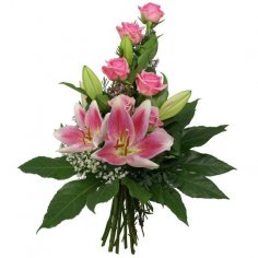  - recenzie, referencie, skúsenosti