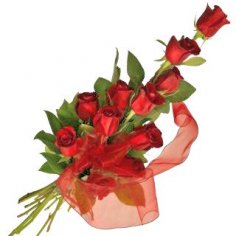  - recenzie, referencie, skúsenosti