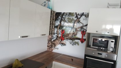  - recenzie, referencie, skúsenosti