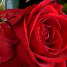  - recenzie, referencie, skúsenosti