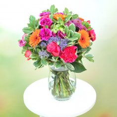  - recenzie, referencie, skúsenosti