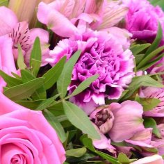  - recenzie, referencie, skúsenosti