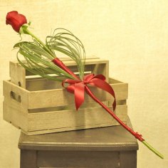  - recenzie, referencie, skúsenosti