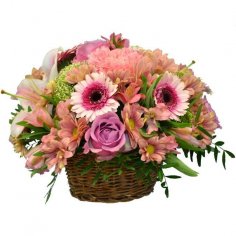  - recenzie, referencie, skúsenosti