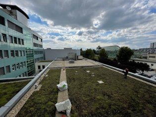 Zelená strecha - SkyGardens - recenzie, referencie, skúsenosti