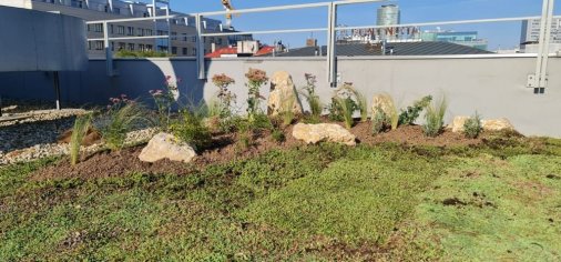 Zelená strecha - SkyGardens - recenzie, referencie, skúsenosti