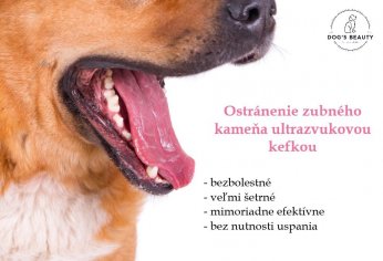 Dogsbeauty.sk - recenzie, referencie, skúsenosti