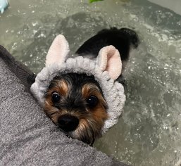  - recenzie, referencie, skúsenosti