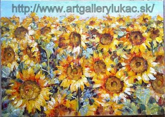 Lukáčová - recenzie, referencie, skúsenosti