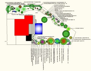 RASTLINKYsk - recenzie, referencie, skúsenosti