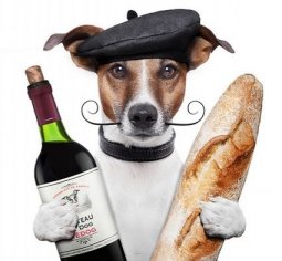 BORDY s.r.o. - recenzie, referencie, skúsenosti