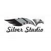 Silvester Šouc-SILVER ŠTÚDIO