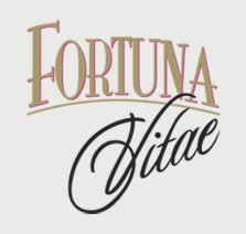 Fortuna Vitae - oil
