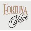 Fortuna Vitae - oil